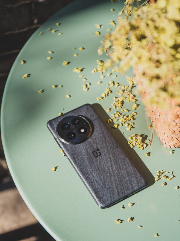 OnePlus 13        