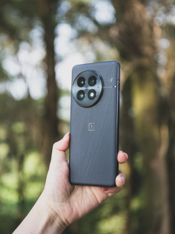 OnePlus 13        