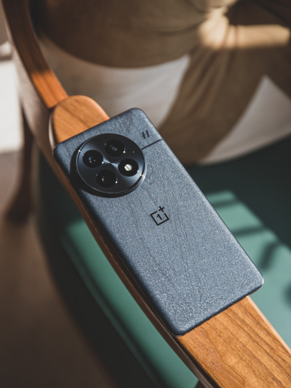 OnePlus 13        