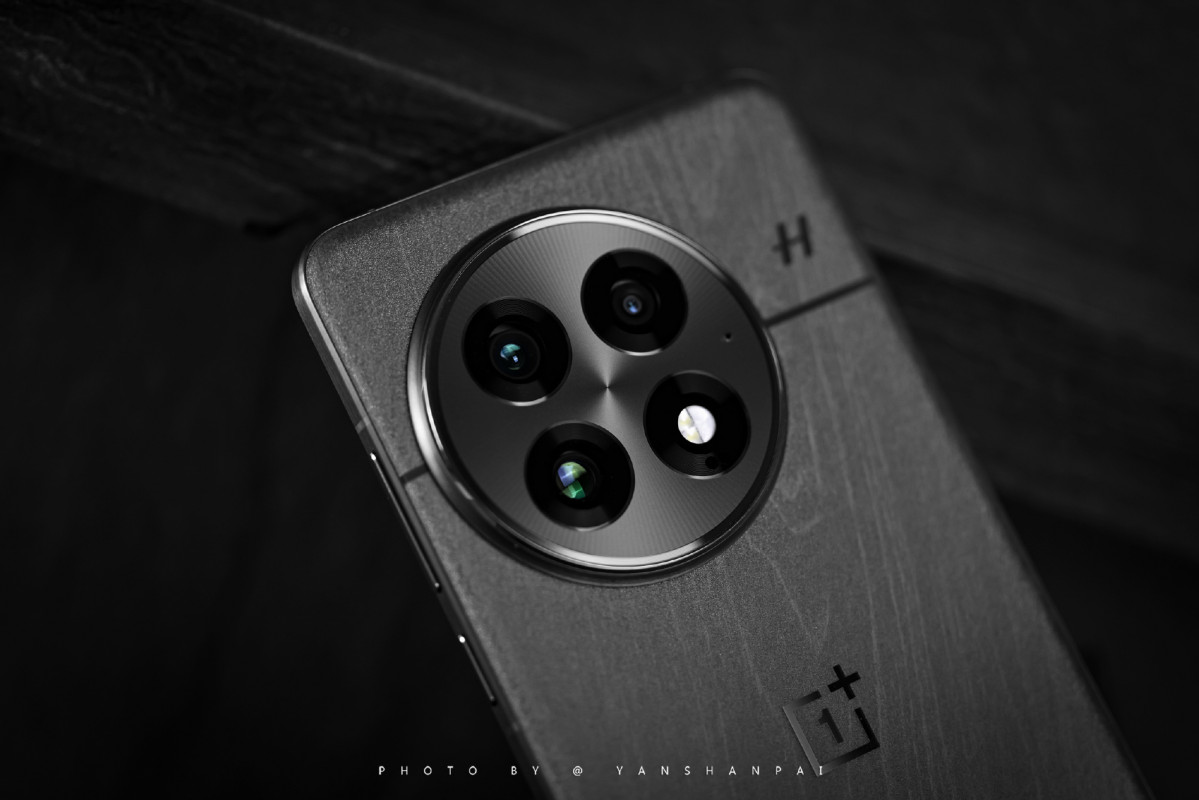 OnePlus 13        