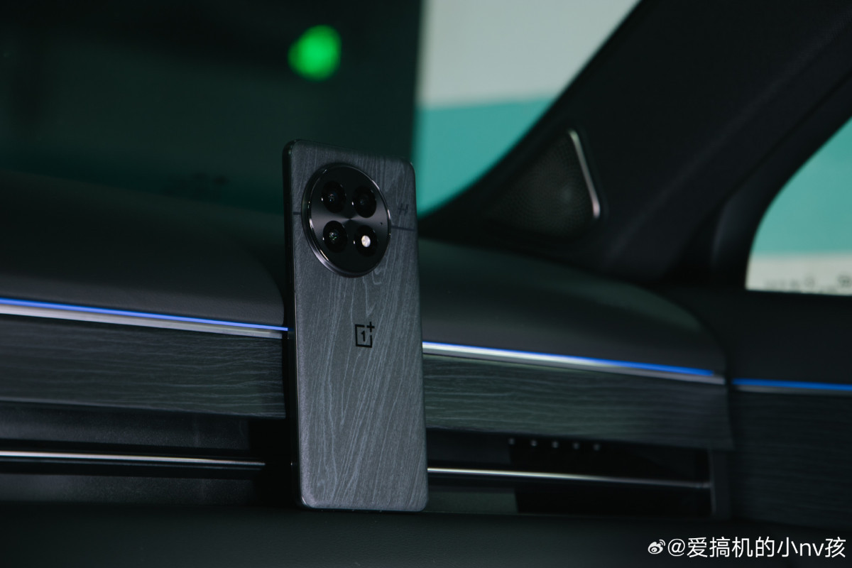 OnePlus 13        