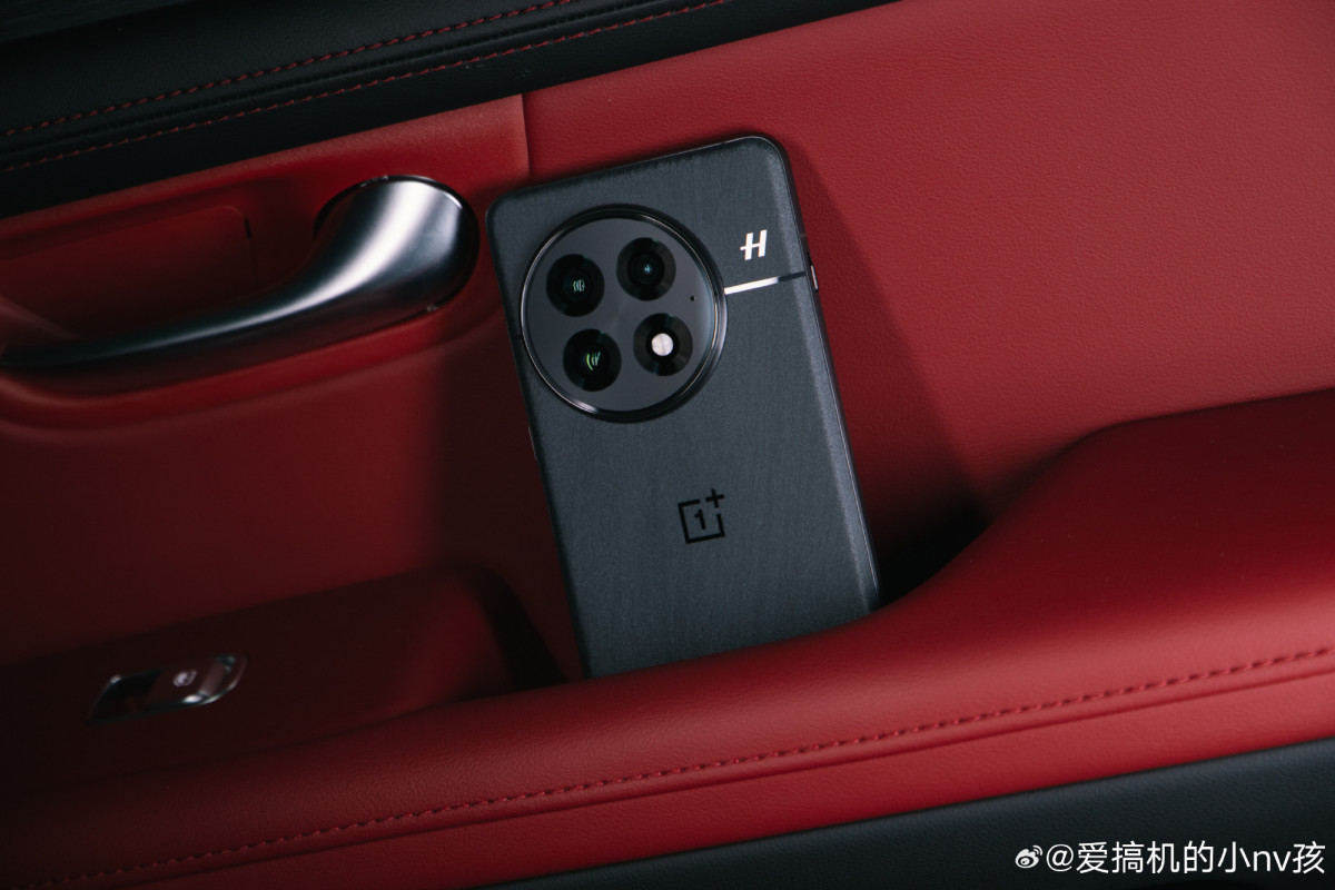 OnePlus 13        