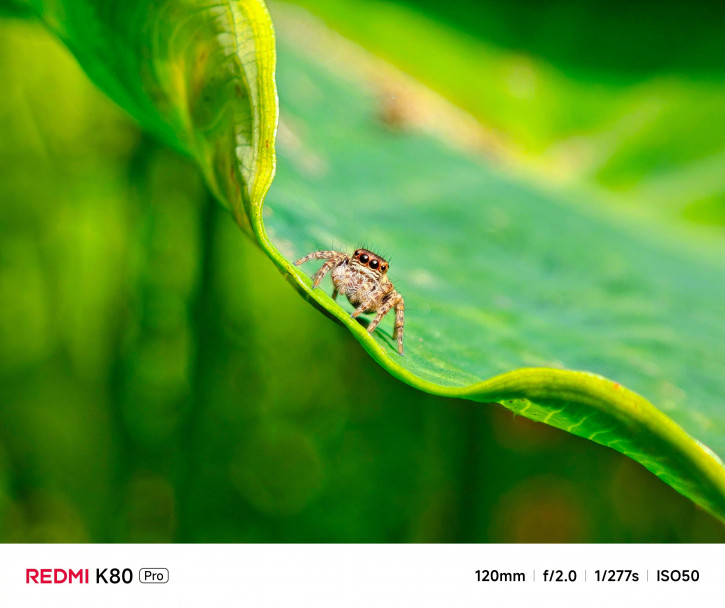Сильнейший в истории бренда набор камер Redmi K80 Pro и примеры фото