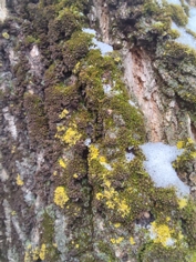 Обзор Xiaomi Redmi Pad 2 Pro: просто хороший планшет