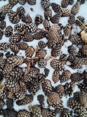 Обзор Xiaomi Redmi Pad 2 Pro: просто хороший планшет