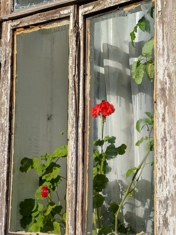 Обзор Google Pixel 10 Pro XL: лучше, чем Galaxy S25 Ultra