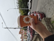 Обзор Samsung Galaxy Z Flip 7: главная Android-раскладушка