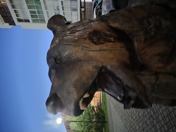 Обзор Samsung Galaxy Z Flip 7: главная Android-раскладушка