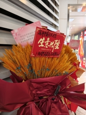 Обзор vivo X300 Pro: баланс с упором на камеру