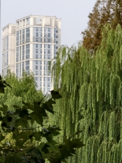 Обзор vivo X300 Pro: баланс с упором на камеру