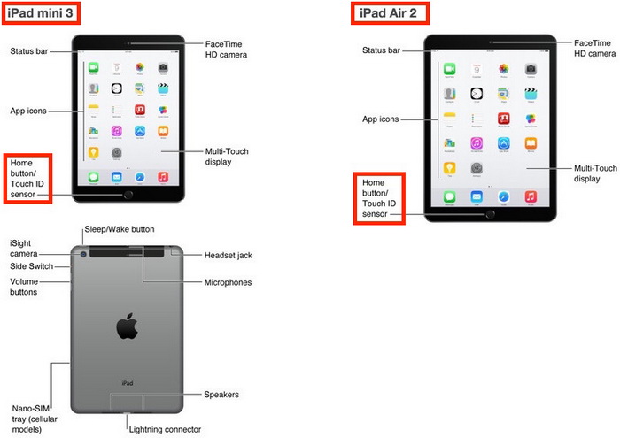 Apple  iPad Air 2  iPad mini 3