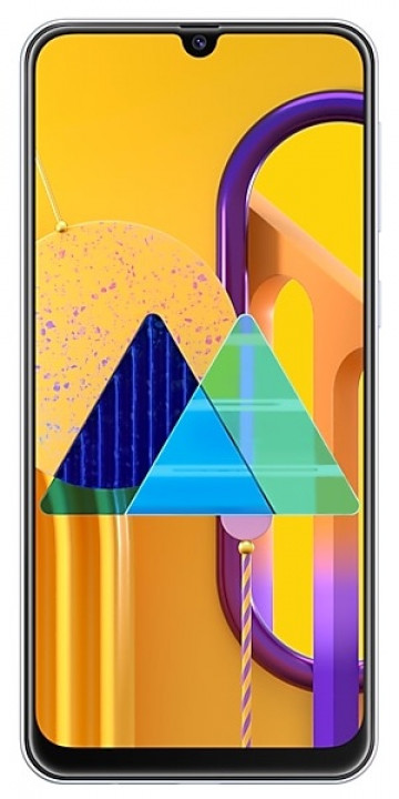 Samsung Galaxy M30s    6000     ()