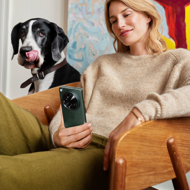       OnePlus Open (+ )