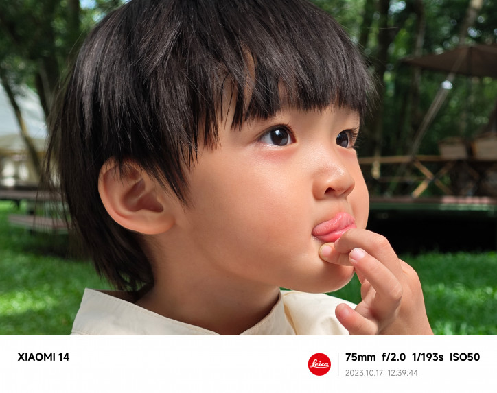     Xiaomi 14: ,    ?