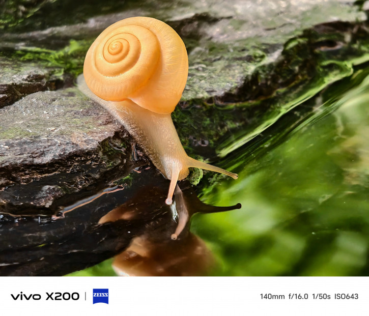 Примеры фото с камер Vivo X200, X200 Pro и Pro mini