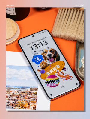 Vivo X200, X200 Pro  Pro mini       