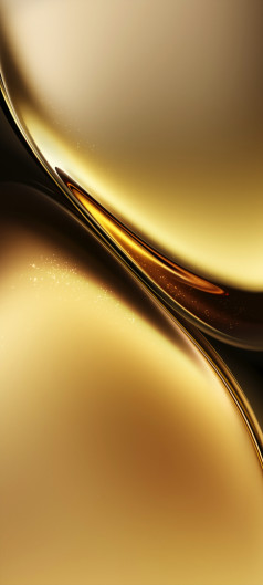   Vivo X200     []