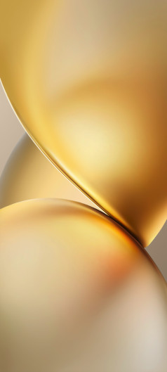   Vivo X200     []