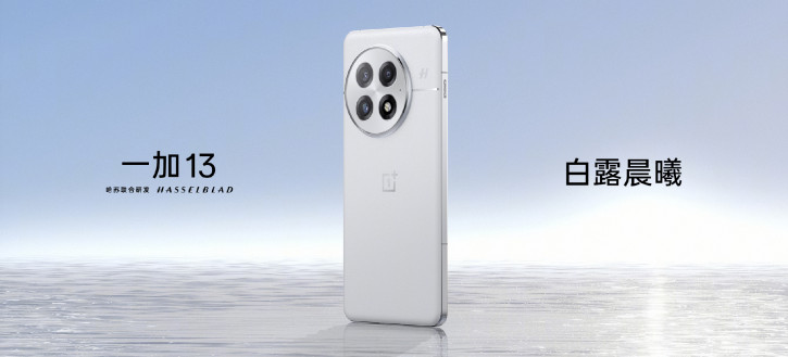   OnePlus 13   :  ?