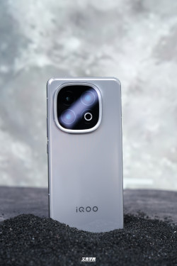 iQOO 13        :  ?