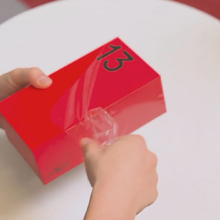 OnePlus 13     
