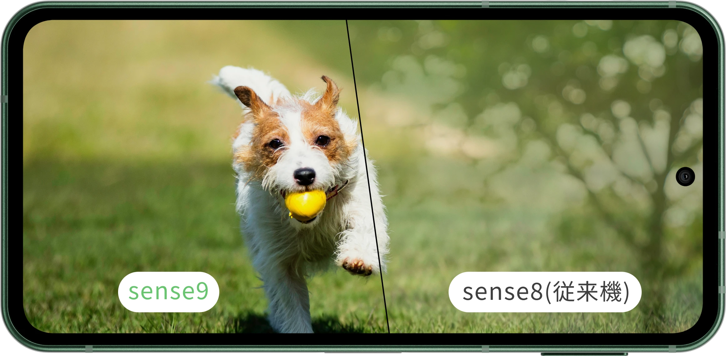  Sharp Aquos Sense 9:   