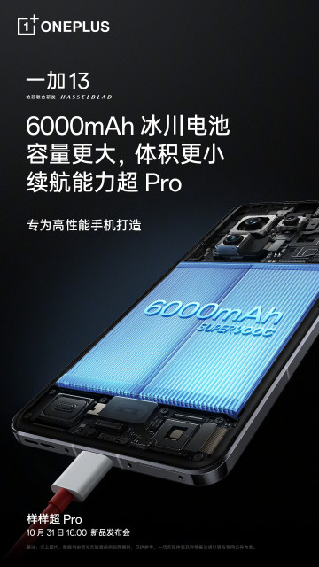 OnePlus 13    ,  :  