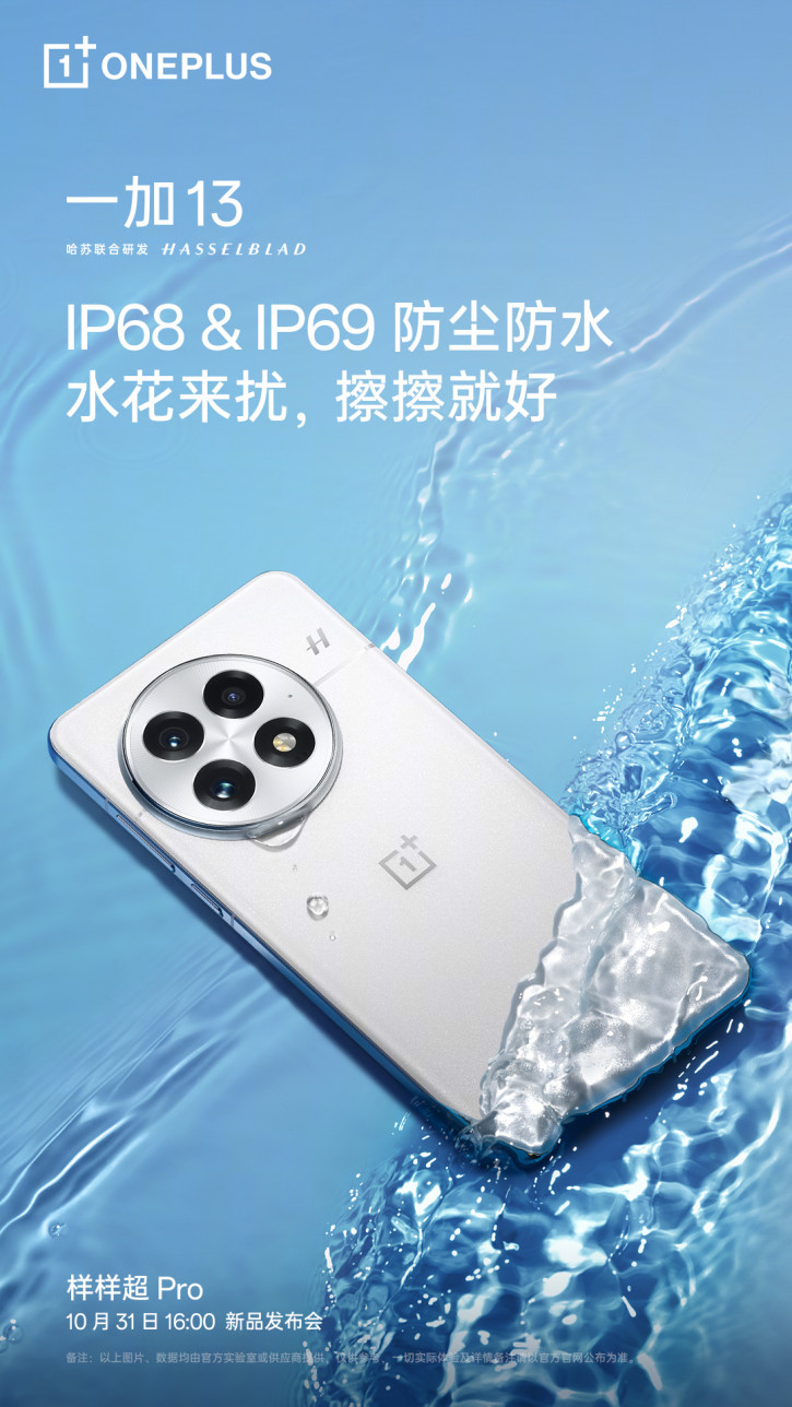OnePlus 13       