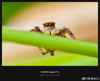 Примеры фото с камер Honor Magic 8 Pro вызывают смешанные чувства