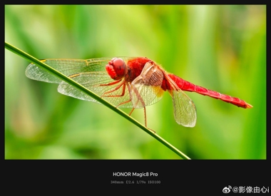 Примеры фото с камер Honor Magic 8 Pro вызывают смешанные чувства