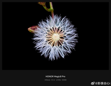 Примеры фото с камер Honor Magic 8 Pro вызывают смешанные чувства