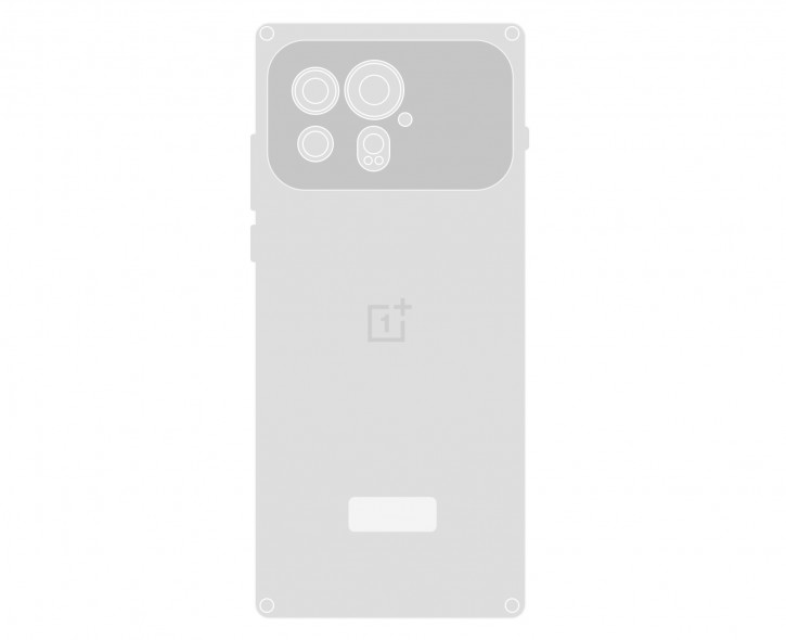 OnePlus 13   :     