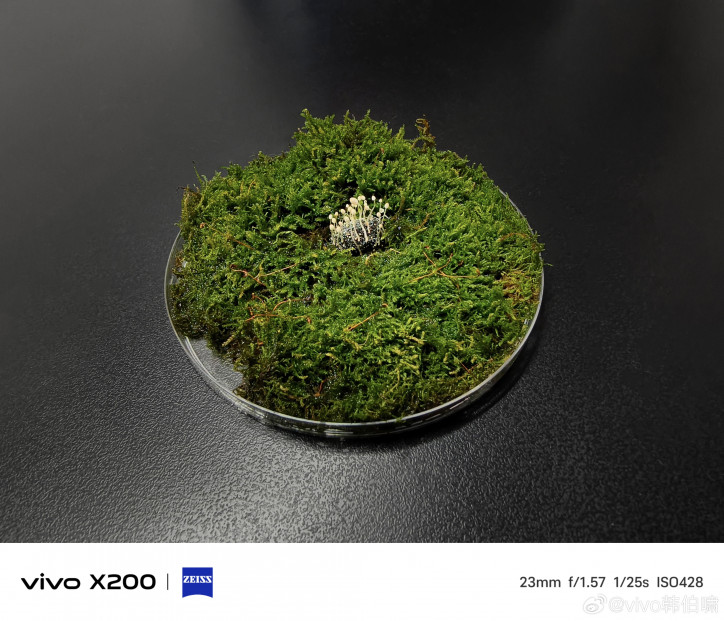 Первые примеры фото на камеру Vivo X200