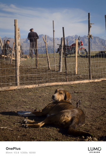 OnePlus 15 для Китая получит другую систему обработки фото под именем LUMO