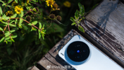 Vivo X300 и X300 Pro во всех цветах на студийных фото задолго до анонса