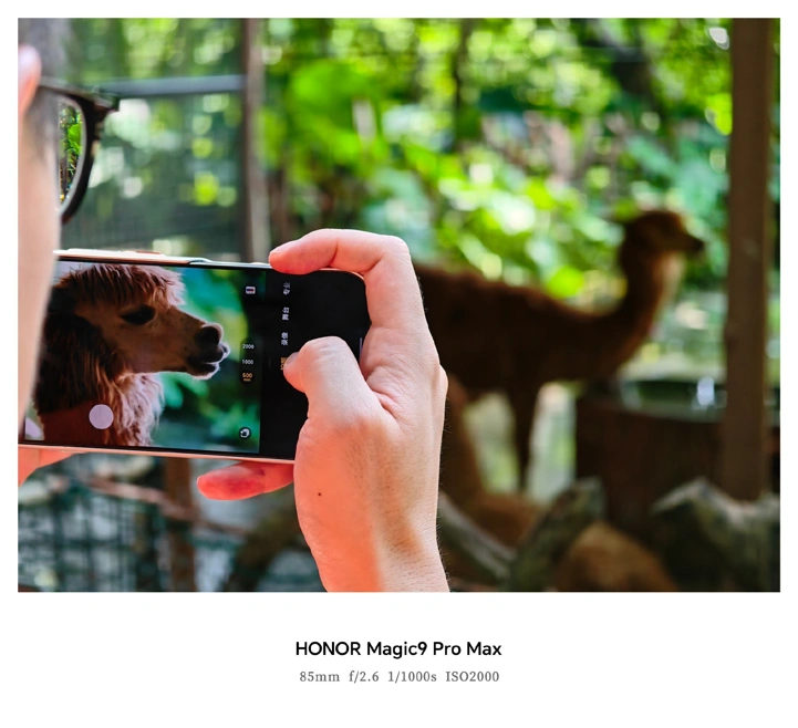 Впечатляющие примеры фото с камер Honor Magic 9 Pro Max