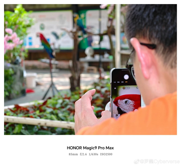 Впечатляющие примеры фото с камер Honor Magic 9 Pro Max