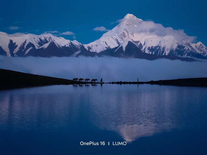 Первые примеры фото с камер OnePlus 16