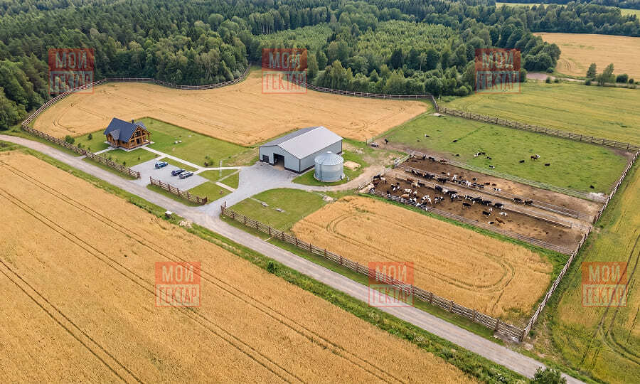 Фото описания проекта