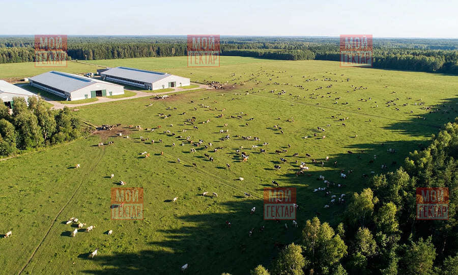 Фото описания проекта