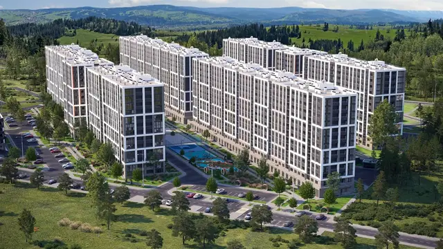Крокус