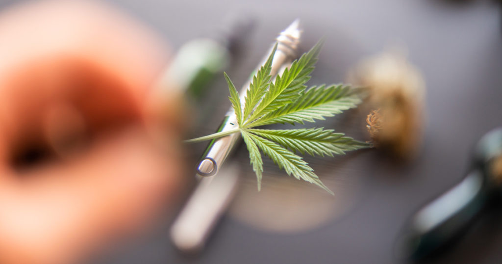 Голосование за легализацию марихуаны видео как садить коноплю видео