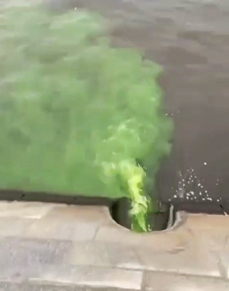 Зеленая вода Москва река. Зеленая жижа. Зеленая жидкость на полу льется.