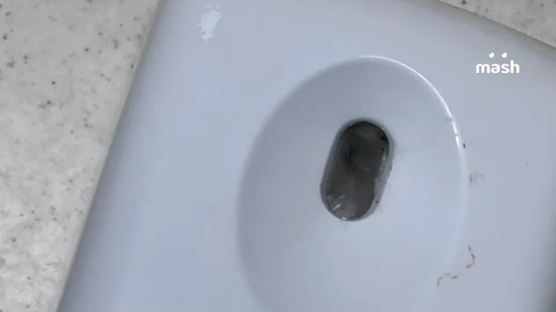 Скрытая камера установлена в туалете ТЦ в Петербурге