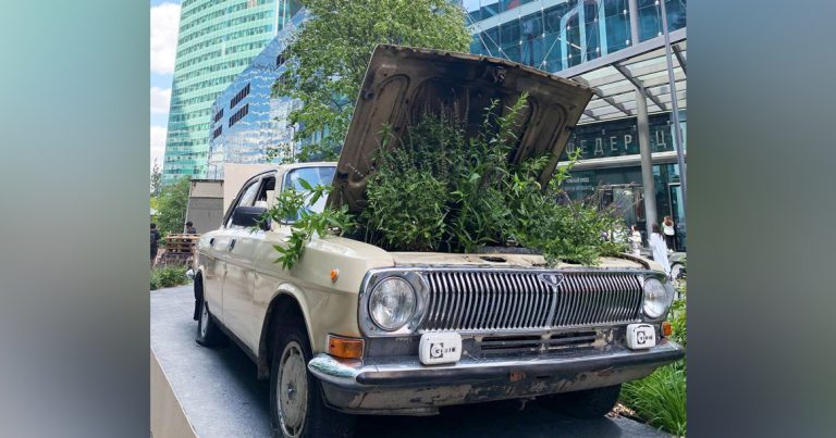 Москва нашего детства в фотографиях а потресова середины xx века