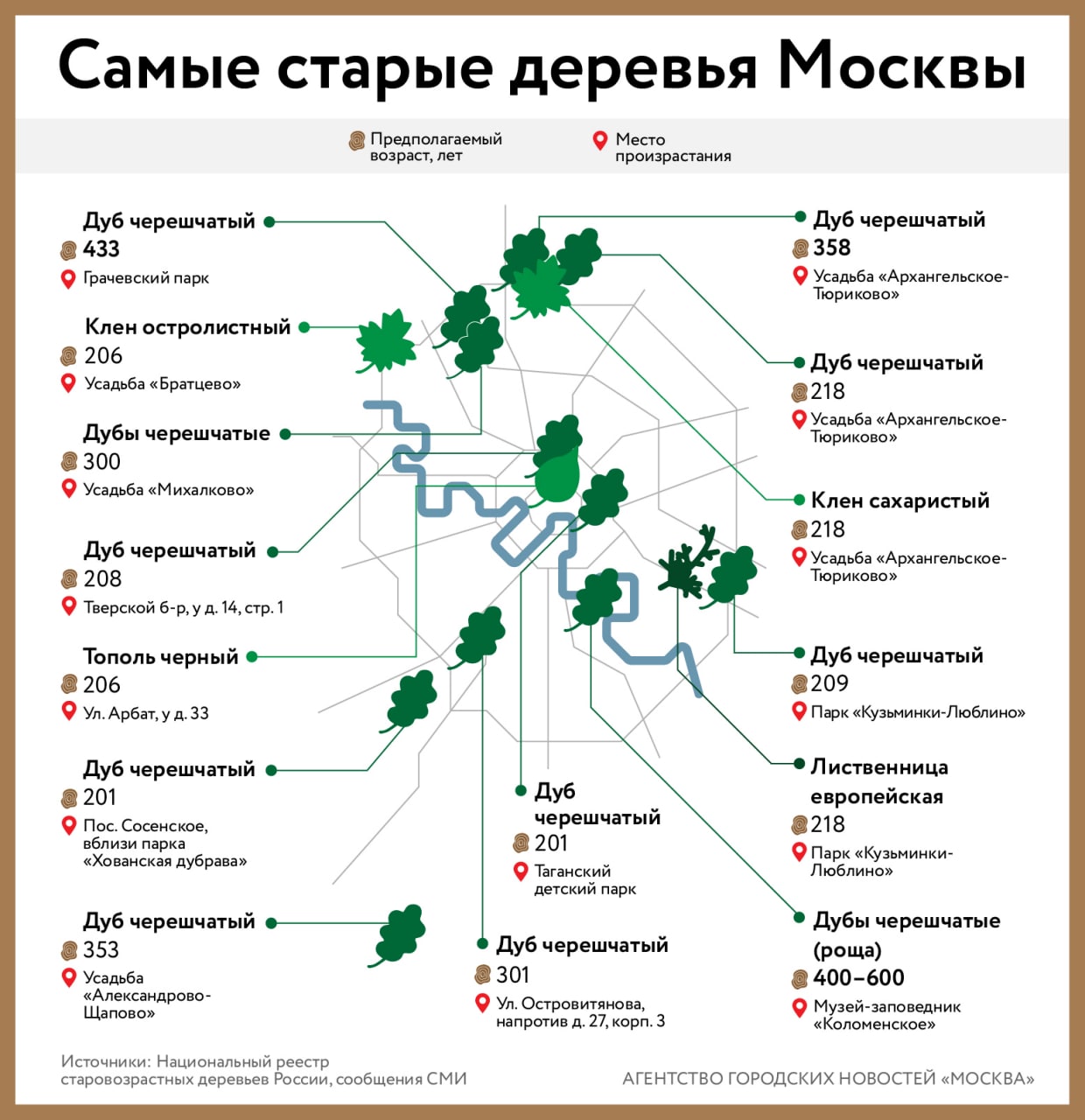 Карта деревьев москвы