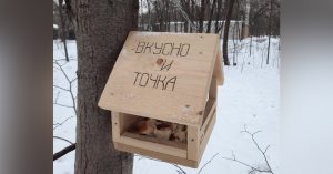 Теперь и для птиц: в парке в Сокольниках появилась кормушка «Вкусно — и точка»