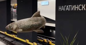Посмотрите, как рыба с мозаики «Нагатинского Затона» плавает по станции