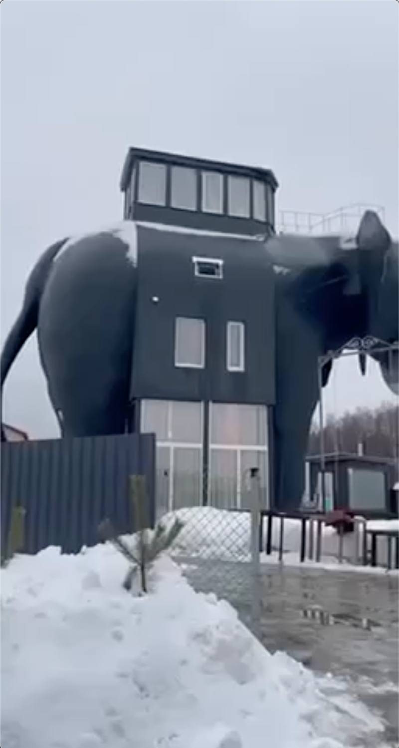 москва дом слон