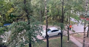 Вид из моего окна: на обычный московский дворик в спальном районе